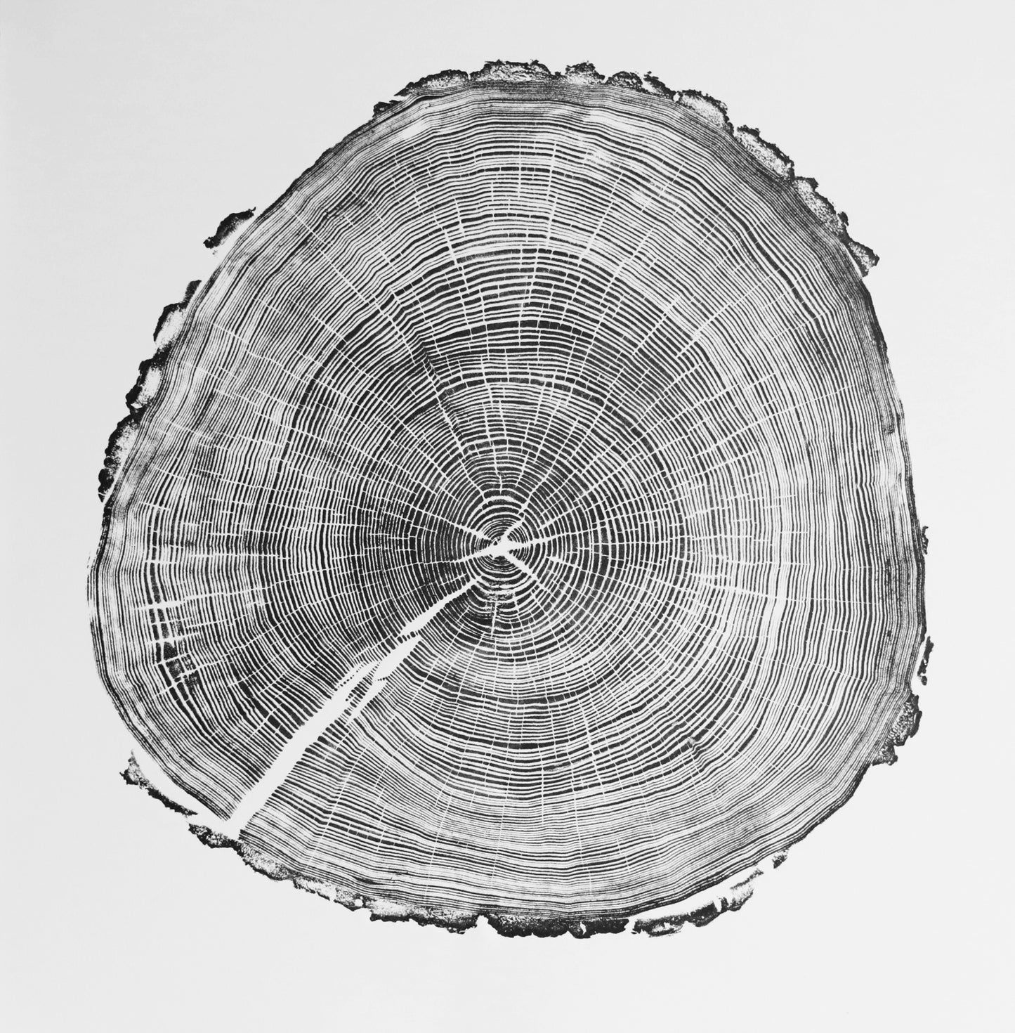 Ash III