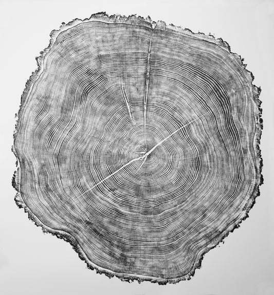 Éowyn Oak