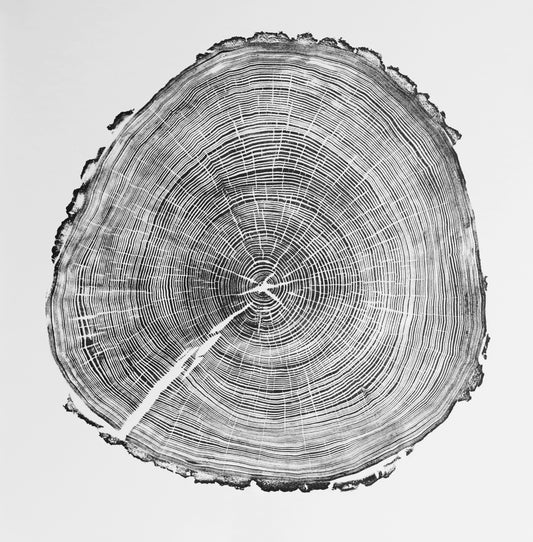 Ash III